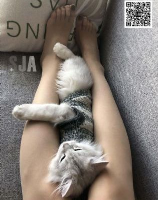91精品國產(chǎn)免費久久久久久青草_國產(chǎn)劇在線觀看高清